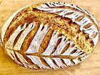 Easy Sourdough Starter Verified Live San Francisco- 221yr Old Top Seller 