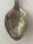 Troy Turkey Vintage Souvenir Spoon Collectible