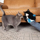 Rytopt Cat Wrestler  Cat Wrestling Glove  With Tough Padding For Safe And Fun