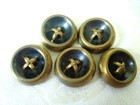 5 Vintage Brass Tone With Black Metal Buttons 1 1 8 In  Kj