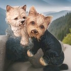Realistic Yorkshire Terrier Puppy Dog Garden Statue Yorkie Sculpture Decor 9 x9 