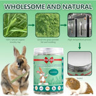 Yixund Timothy Hay Sticks Treats For Rabbits 40pcs Bunny Chew Toys Guinea Pig To