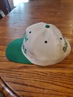 Vintage Roller Hockey International Bullfrogs Cap