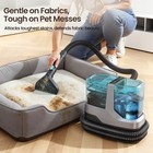 Professional Steam-powered Carpet Cleaner  Strong Stain Removal  High-temp Steam