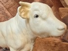 Vintage Breyer Charolais Bull- Cream white- 1980s Farm Animal Model Clean   Nice