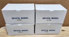 Dental Form W  Removable Teeth Typodont Dentoforms  qty 4 