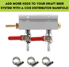 2-way Aluminum Gas Manifold With Check Valves And 5 16  Barbed Outlets