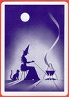 No  37 - The Rapiers Vintage 1960s Gypsy Witch Fortune Telling Uspc Playing Card