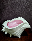 Ceramic Conch Sea Shell  Planter Vase Vtg Atlantic Mold Beach Shore Decor