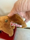 Fao Schwarz Plush Brown Horse Pony 7  Geoffrey Toys R Us 2013 New Stocking Gift