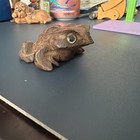 Vintage Japanese Cryptomeria Frog Hand Carved Cedar Wooden Toad