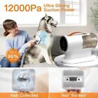 Dog   Cat 12000pa Pet Grooming Kit   Vacuum 2l Large Capacity W  5 Clipper Tools