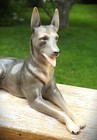 9  Porcelain German Shepherd Dog Gerold   Co Tettau Bavaria 1937-1960 Germany