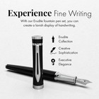 Fountain Pen Set  Medium Nib  24 Ink   Converter  Gift Case   black Chrome 