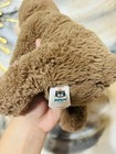 Jellycat Woody Bear Medium 10    Plush Sitting Brown Stuffed Animal Lovey Vguc