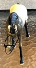 Vtg Hartland Plastics Co  Horse - Plastic   Collectable Htf
