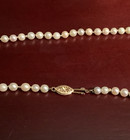 17    Authentic Vintage 5mm Pearl Necklace With 14k Gold Clasp