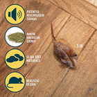Ourpets Play-n-squeak Mouse Hunter Cat Toy  interactive Cat Toy   Catnip Toy 