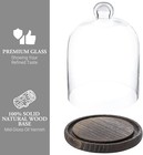 Clear Round Glass Cloche Dome Display Centerpiece Decorative Case W  Top Handle
