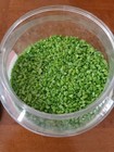 Bullseye Pea Pad Green - Coarse Frit Glass Fusing 90 Coe 4 56 Lbs