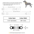 Reflective Breakaway Pet Cat Collar Personalised Name Tag W  Bell Quick Release