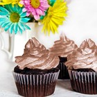 Chefmaster 2-ounce Sienna Airbrush Cake Decorating Food Color
