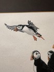 Vtg Original Pencil Drawing Of Atlantic Puffin Birds By Deborah St  John 15   x12   