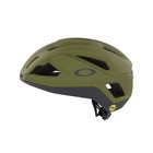 Oakley Aro3 Endurance Bike Helmet Fos900928-7c4 - Matte Fern - Large