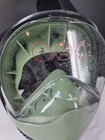 Full Face Snorkel Mask Adult L Xl Green 180 View Anti Fog Dry Top Underwater 