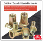 Rivet Nut 200 Pieces 1 4-20unc Rivet Nuts Nutsert Rivet Nut Flat Head Threade   