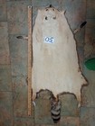 Tanned Raccoon Pelt With Feet Claws Winter Hide Skin Animal Fur Good Leather