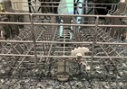 Whirlpool Dishwasher Racks Complete Set Upper Lower Silverware Basket Wdt730hamz
