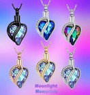 New Heart Elegant Cremation Urn Keepsake Ashes Memorial Necklace