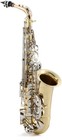 Open Box Selmer Sas301 Student Alto Saxophone W  Case  Mouthpiece - Un-used