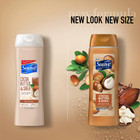 Suave Essentials Body Wash  Creamy Cocoa Butter And Shea  18 Oz - Free Shipping
