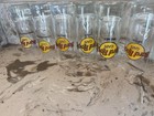 Lot Of 9 - Hard Rock Cafe - 4 Inch Shot Glasses
