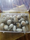Set Of 25 Moonstone Runes