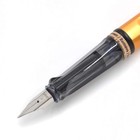 Star Snap On Cap Bronze Fountain Pen  Fine Nib