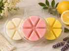 Handmade Soy Blend Wax Melts Long Lasting Clamshell Melts Choose-2 75 Ounces