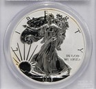 2013 W Proof Silver American Eagle Pcgs Pr69 Rev Pf