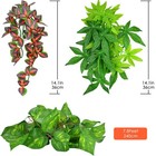 Katumo Reptile Plants  3 Pcs Amphibian Hanging Plants With Green fire Red