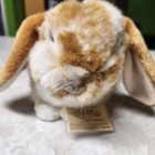 Webkinz Signature Lop Bunny Plush Stuffed Animal Realistic W  Code Wks1025 New