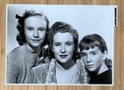 4 Daisy Kenyon  1947  Original Movie Still Lot Trimmed D  Andrews   Ruth Warrick