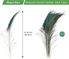 24pcs Peacock Feathers Long Natural In Bulk 32-35 Inch 80-90 Cm