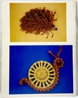 1977 Craft Course Creative Ideas Made Easy In Macrame Hc10 Pattern Book 16626