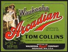 Vintage Soda Pop Bottle Label Waukesha Arcadian Tom Collins Woman Pictured Nrmt 