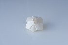 50 Pieces Gardenia 5 Cm  Diffuser Flowers Sola Balsa Wood Wholesale Bouquet
