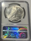 1926 Peace Silver Dollar Ngc Ms 62