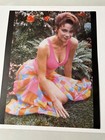 Chase Masterson 8    X 10    Sexy Vintage  Photos  leeta - Ds9  - Lot Of 3 
