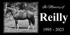 Custom Pet Stone Memorial Grave Marker Granite Plaque Human Headstone